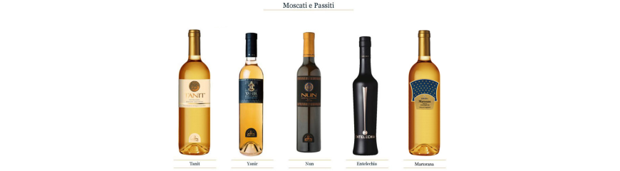 Miceli's wine cellar - Pantelleria Grapevine - Sweet wines line