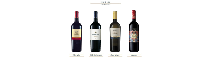 Miceli's wines cellar - Sciacca Grapevine White vine and Red vine