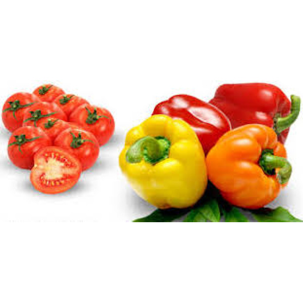 Ready sauce with tomatoes and peppers, not spicy - Oz.12,35