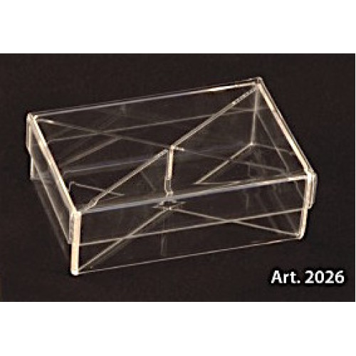 PLEXIGLAS RECTANGULAR candy box with lid and dividers - 6 Pcs. - mm. 60x120x40