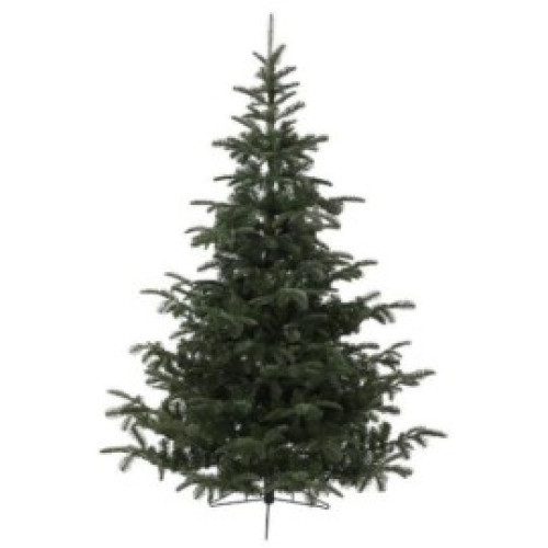 Christmas tree 120 cm Nordmann with base