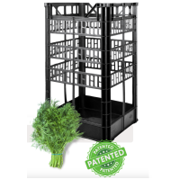 Plastic box for dill
