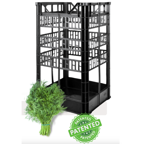 Plastic box for dill