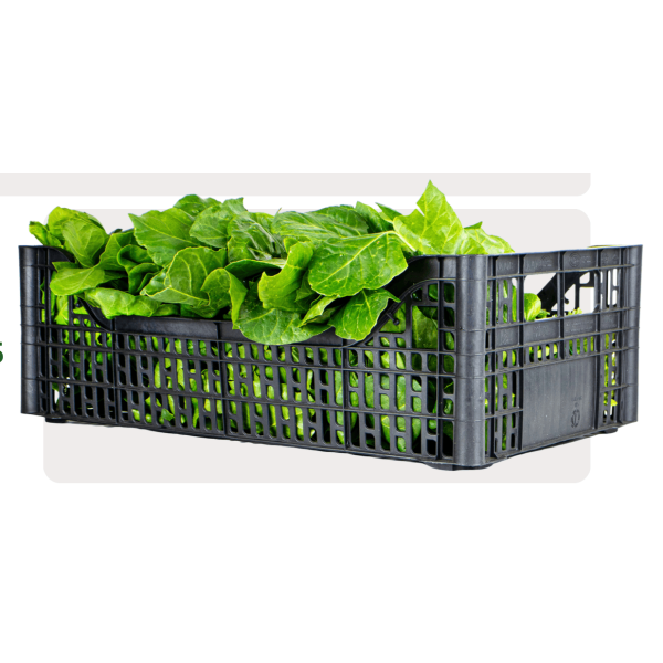Recycled plastic fruit and vegetable crate cm.30x50x17.5 - Pallet 128 pieces