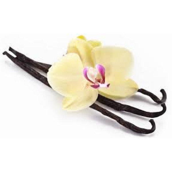 VANILLA extra scented incense in grains