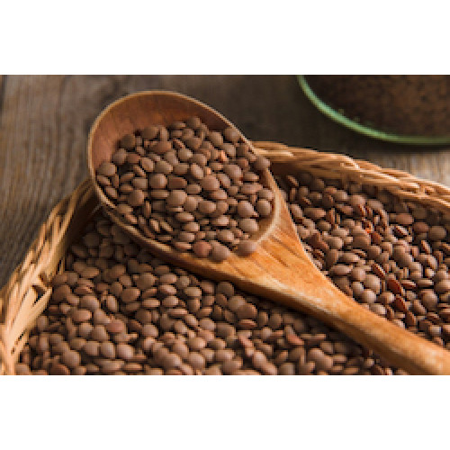 Lentils from Ustica 15,88 Oz. (450 gr.) - Slow Food