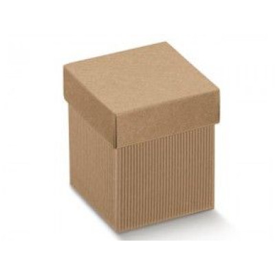 Corrugated cardboard boxes bottom and lid cube mm.50x50x50 - 10 Pcs.
