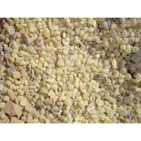 Pure ETHIOPIAN Incense Boswellia papyrifera Messer in little grains - 17,64 Oz. Pack of 5 - 10% Discount