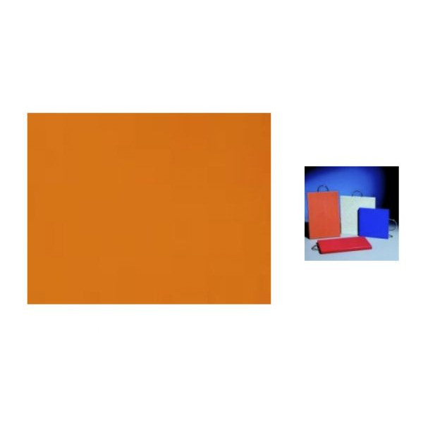 Rectangular polyethylene Chopping board ORANGE 30x20x1,5 with steel handle