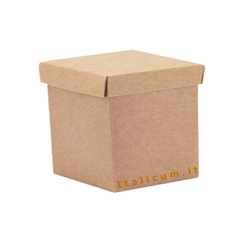 Cardboard boxes bottom and lid cube mm.50x50x50 - 10 Pcs.